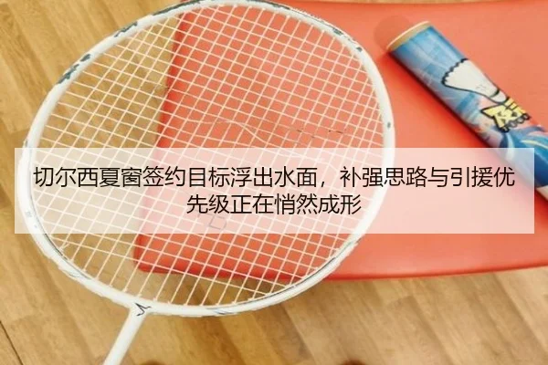 切尔西夏窗签约目标浮出水面，补强思路与引援优先级正在悄然成形（maiqiuzhan）